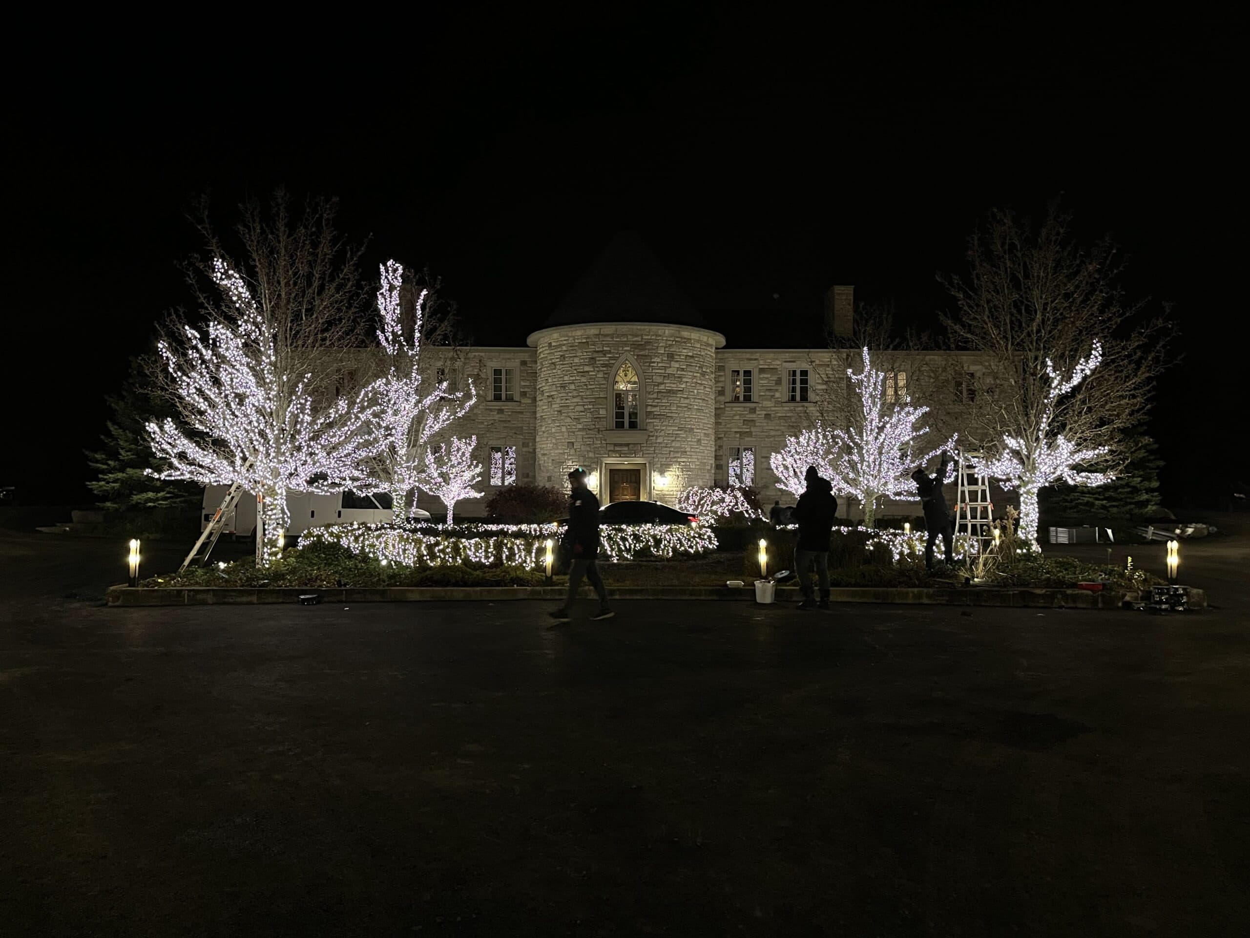 Commercial-grade LED Christmas lights wrapping estate trees at night, installed across Ontario by Holiday Light Supplies